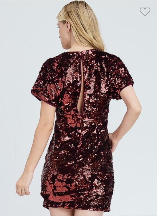 Vestido Lentejuela